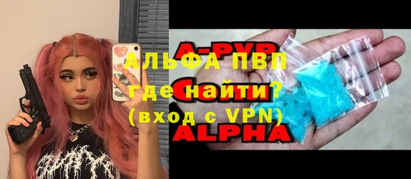 прущие грибы Горняк