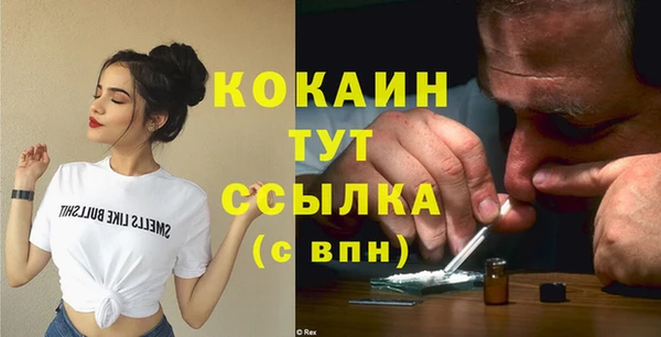 прущие грибы Горняк