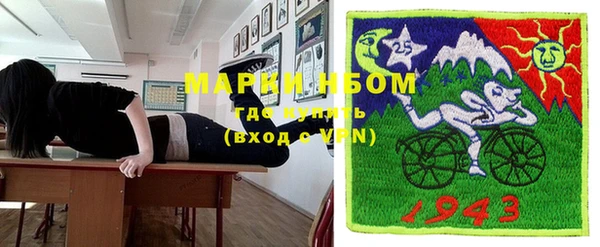 прущие грибы Горняк