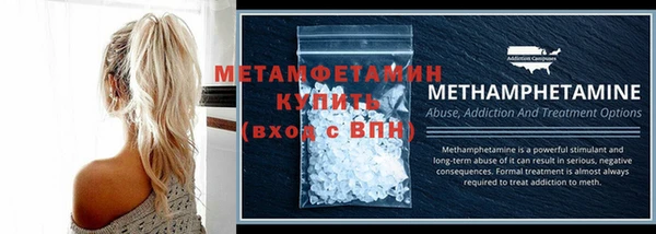 прущие грибы Горняк