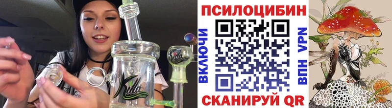 продажа наркотиков  Верхняя Тура  Галлюциногенные грибы Cubensis 